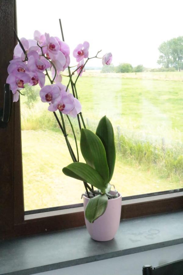 Homestay Confort Soignies